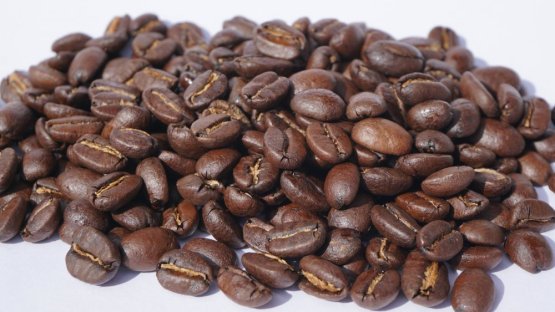 Guatemala washed maragogype