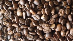 Nepal Mount Everest Gramáž: 50 g, Hrubost mletí: celá zrna (Gramáž 100 g, Hrubost mletí celá zrna)