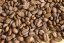 Nicaragua Geisha La Liamada washed rainforest alliance
