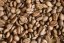 Nicaragua Geisha La Liamada washed rainforest alliance