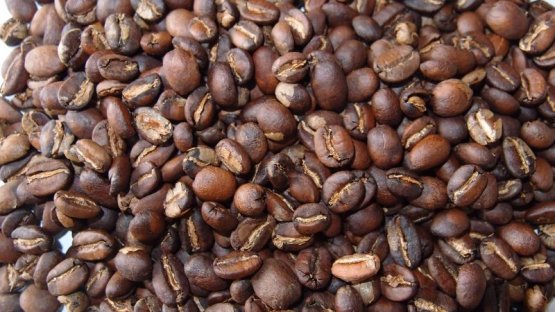 Cibetková Káva Kopi Luwak 100% (Gramáž 50 g, Hrubost mletí celá zrna)