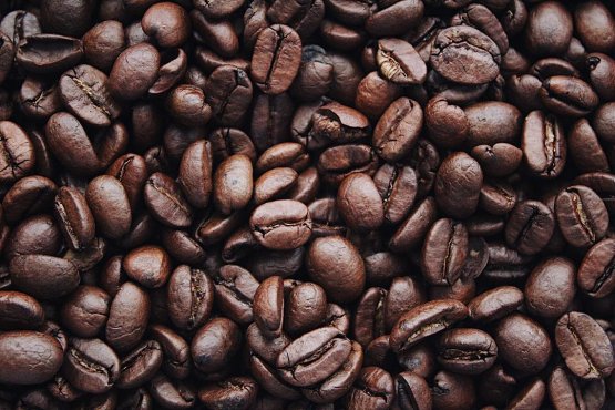 Brazilia Yellow Bourbon