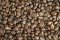 Etiopia Yirgacheffe