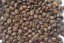Jamaica Blue Mountain 100% Arabica Gramáž: (Gramáž 50 g, Hrubost mletí celá zrna)